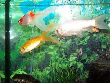 100_0247.jpg