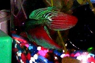100_0325.JPG