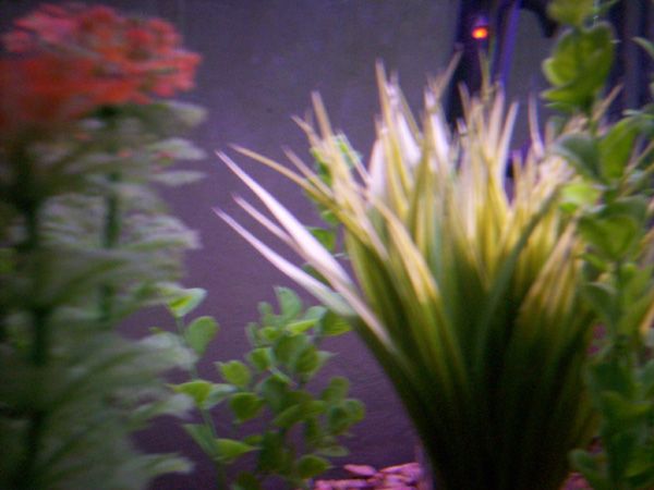 100_0551.jpg