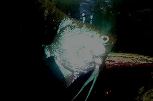 100_0586.JPG