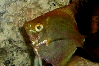 100_0593.JPG