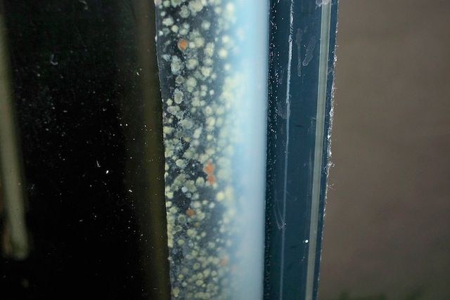 100_0792.JPG