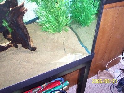 100_1056.jpg