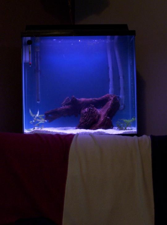 100_1137.JPG