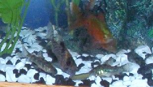 100_2555.jpg