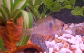 100_2829.jpg