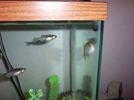 100_3827.JPG