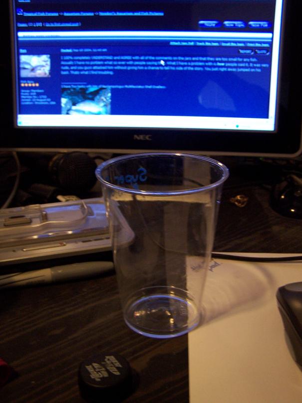 100_9645.JPG