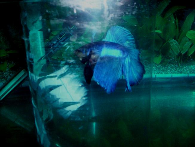 102_3524.JPG