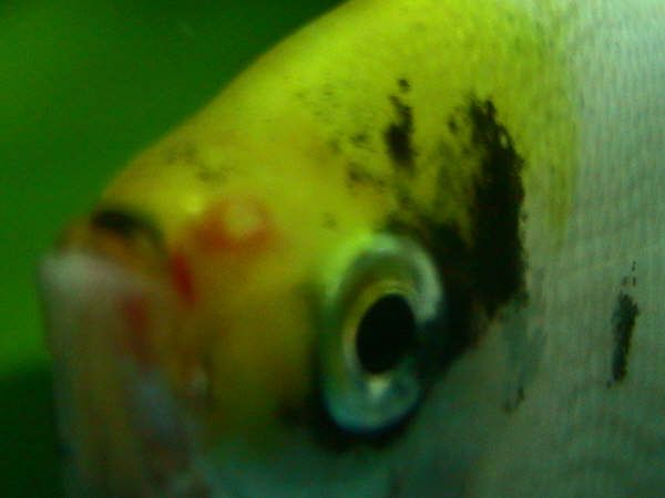 106_0629_2_.JPG