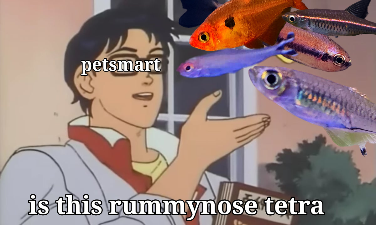 1118.jpg