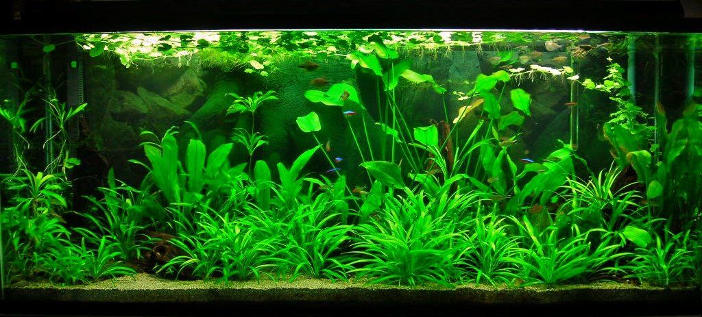 115g Feb 24-12.JPG