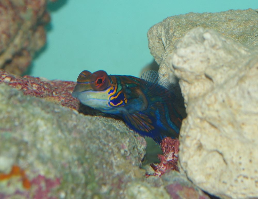 11december2006 123.jpg