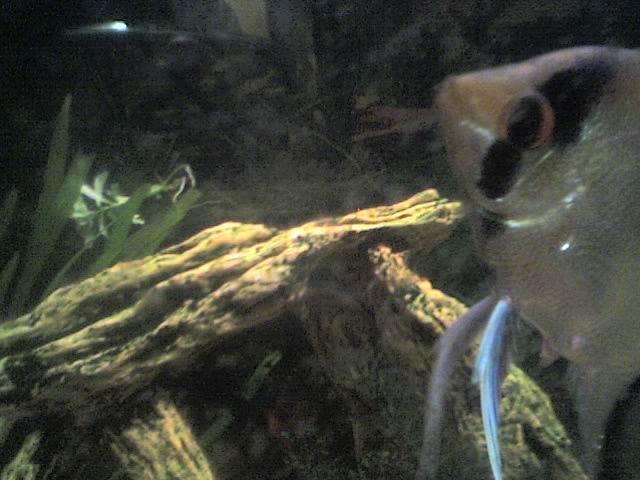 14_10_06_1645.jpg
