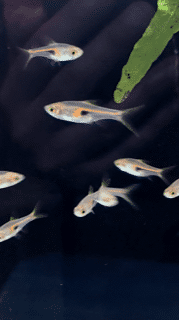 1623723016425.png