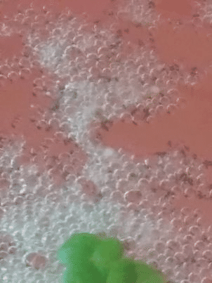 1656750960144.png