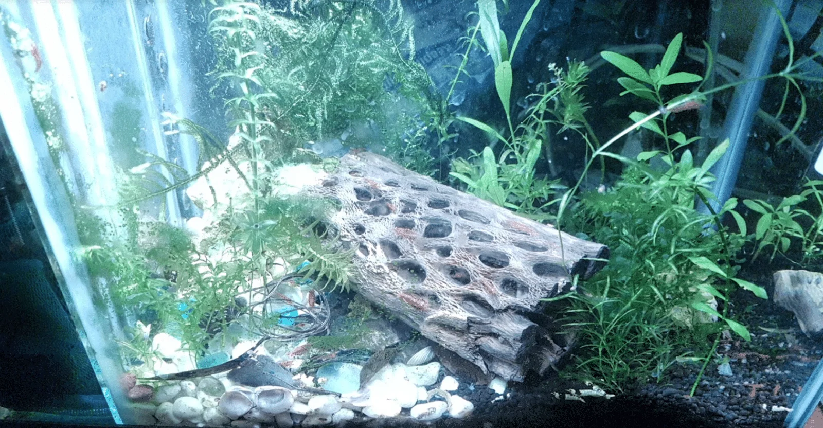 1661162206261.png
