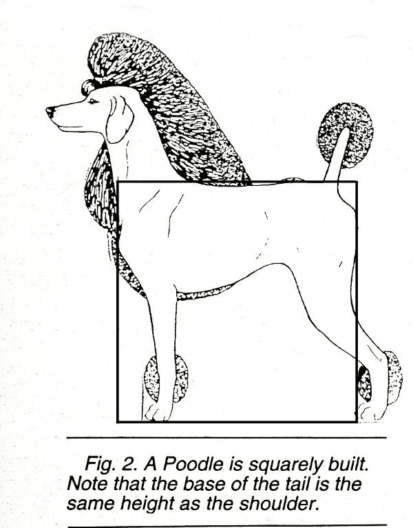 1710354630566.png
