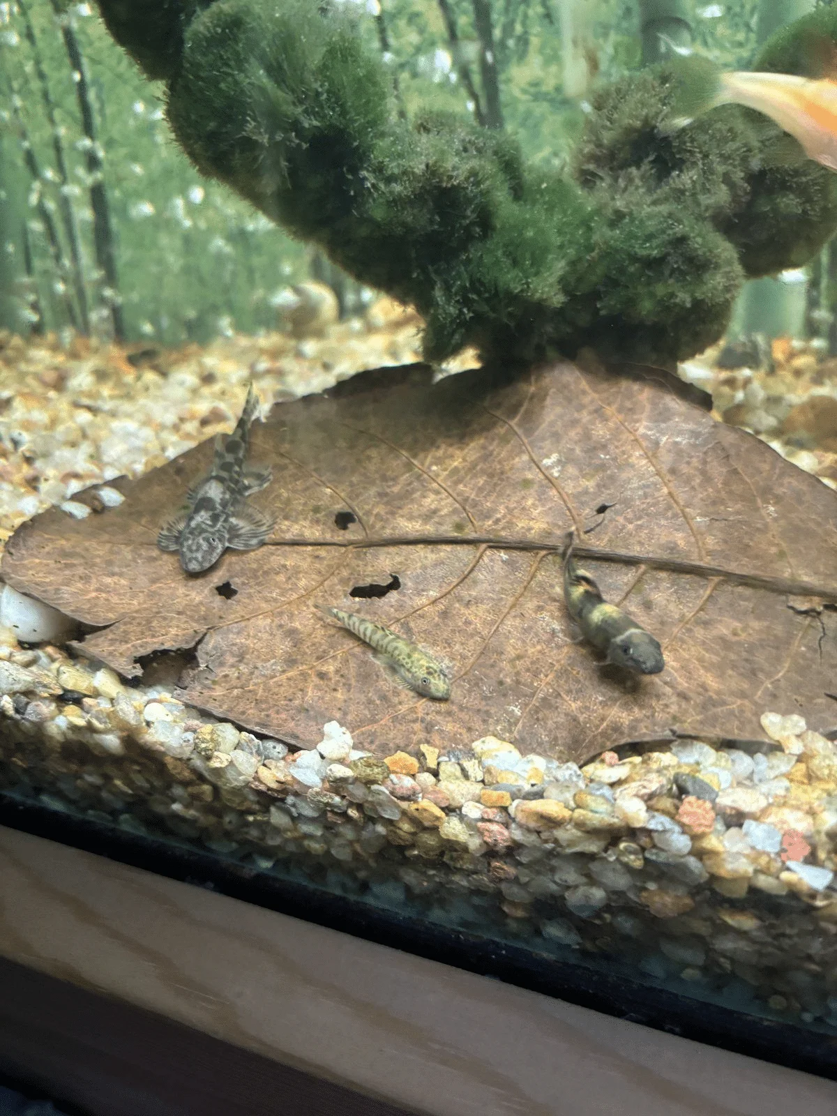 1712764217207.png