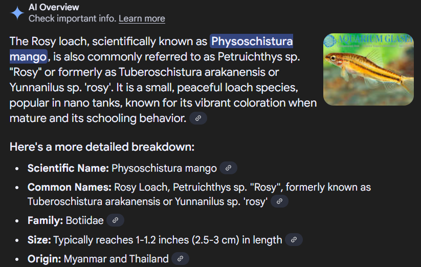 1750362237499.png