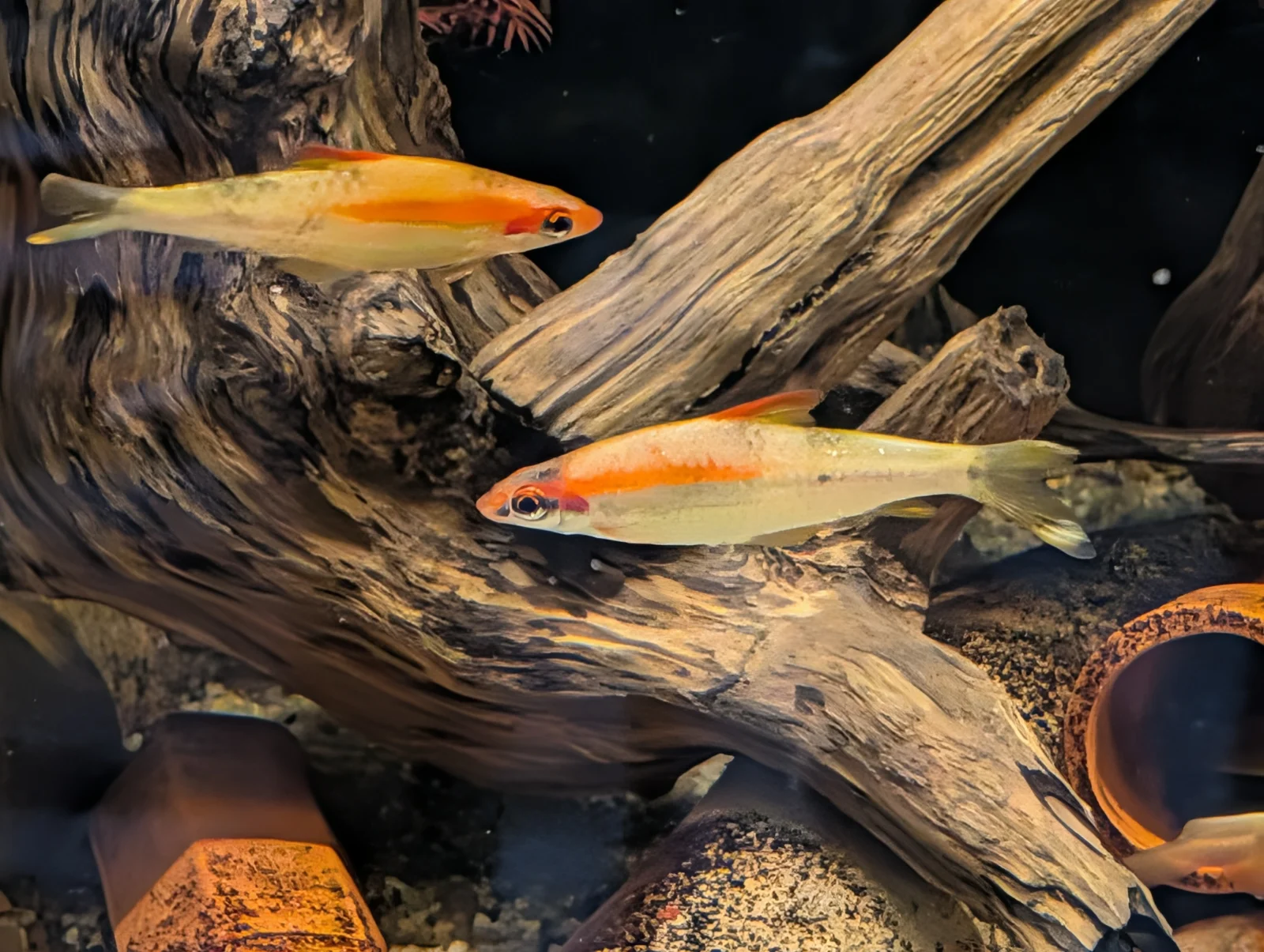 1789320704520.webp