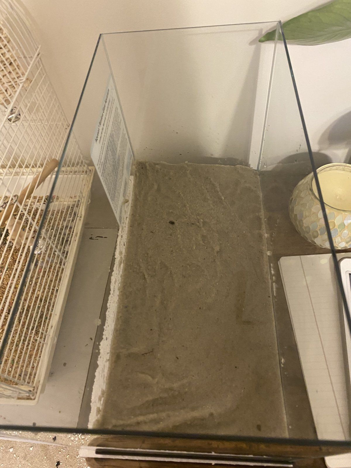 1816070E-9E58-42D0-A63F-086B775856F6.jpeg