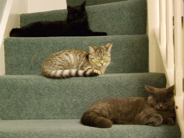 2004_1116Image0041.JPG
