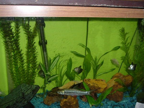 2005_1102Image0017.JPG