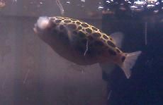 20110608153844.jpg
