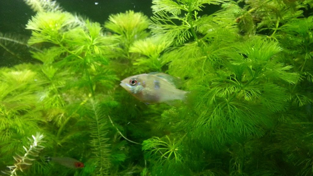 20130725_182250.jpg