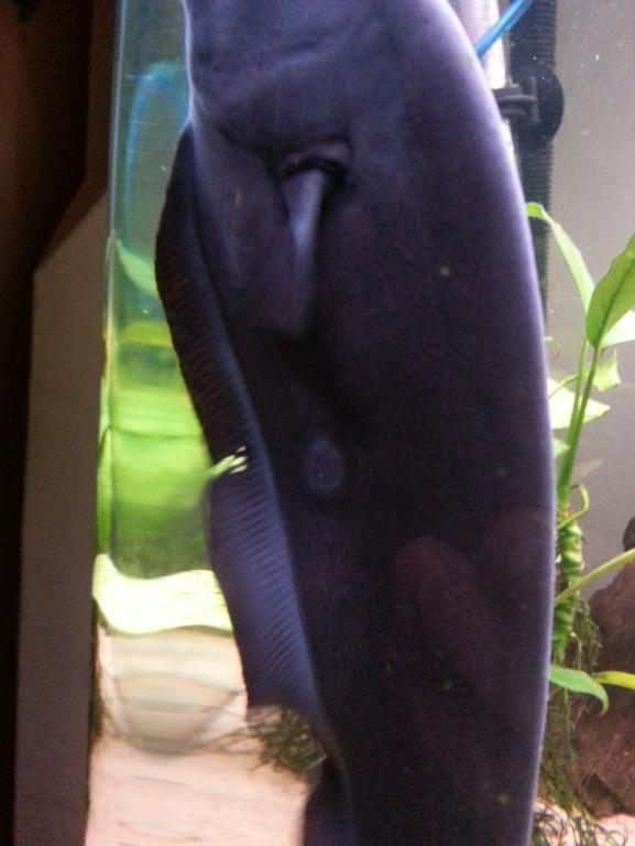 20131114_184345.jpg