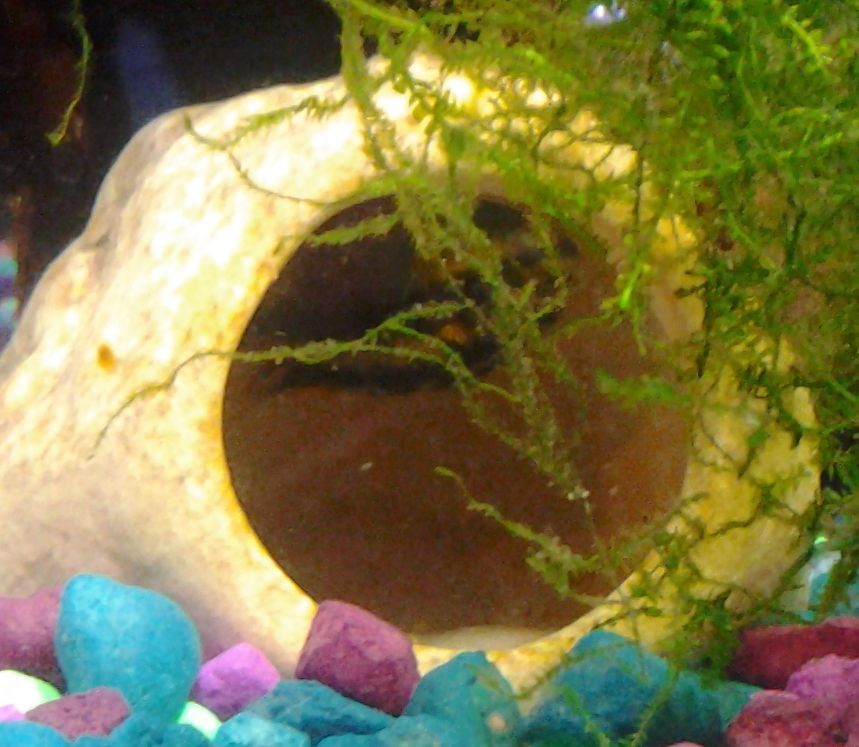 20131210_164350.jpg