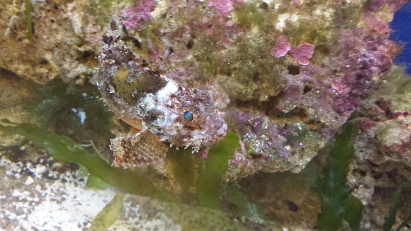 20131216_142953.jpg