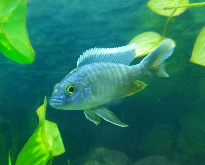 2014-11-28 21.03.54.jpg