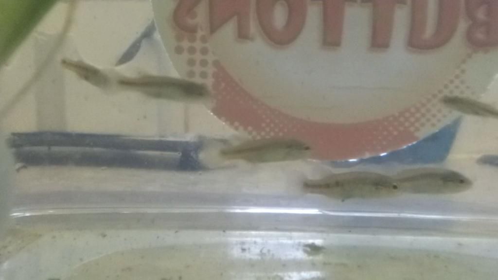 20140616_202033_5335.jpg