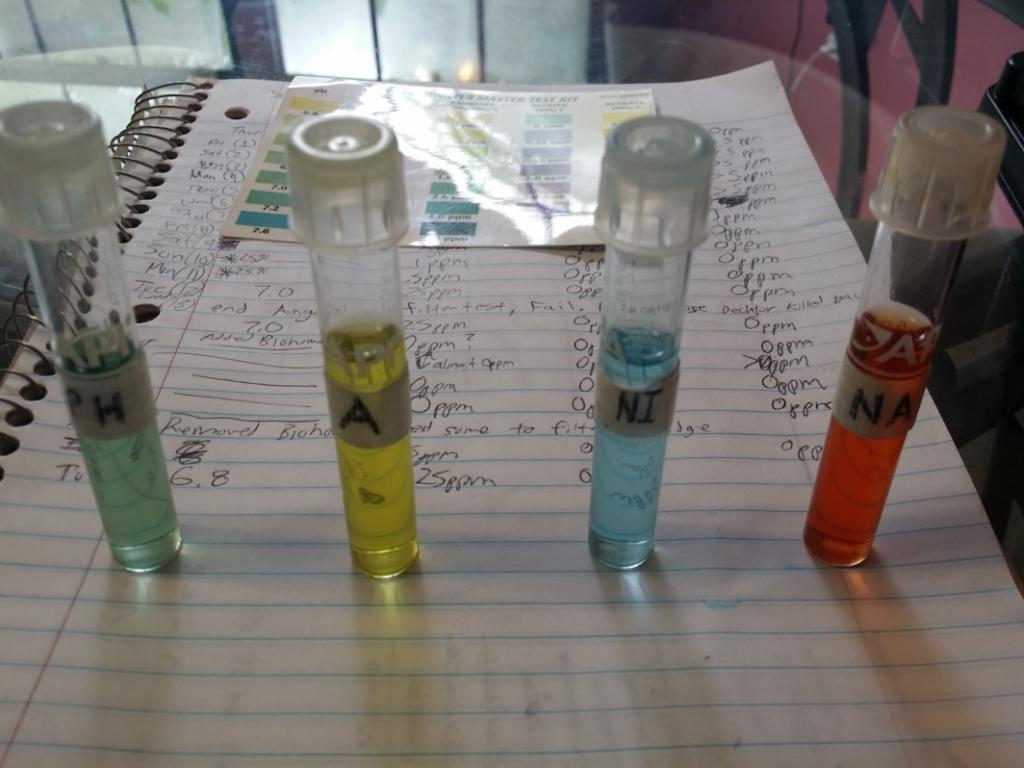 20140812_094609.jpg