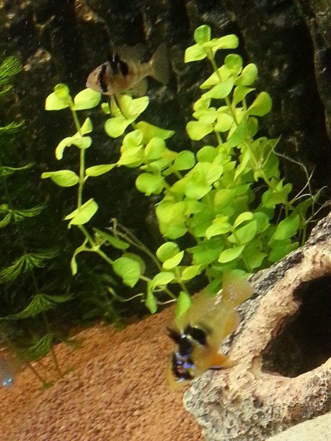 20140923_185653-2.jpg
