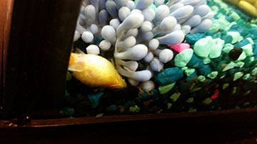 20151021_220918.jpg