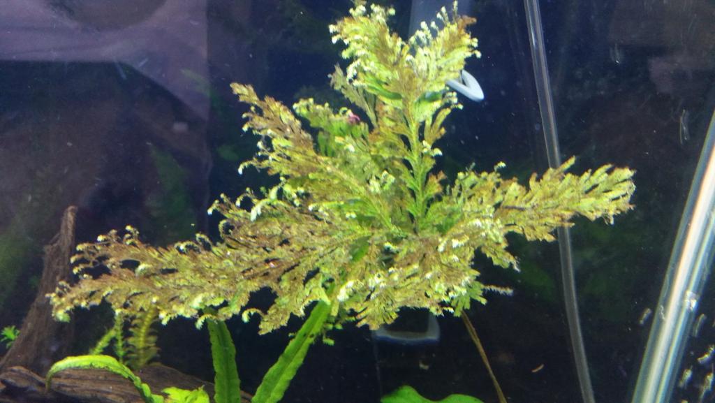 20151024_084408.jpg