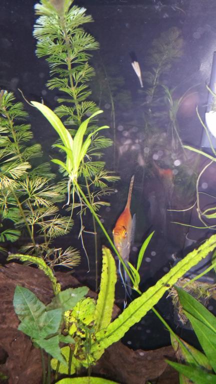 20160206_081013.jpg