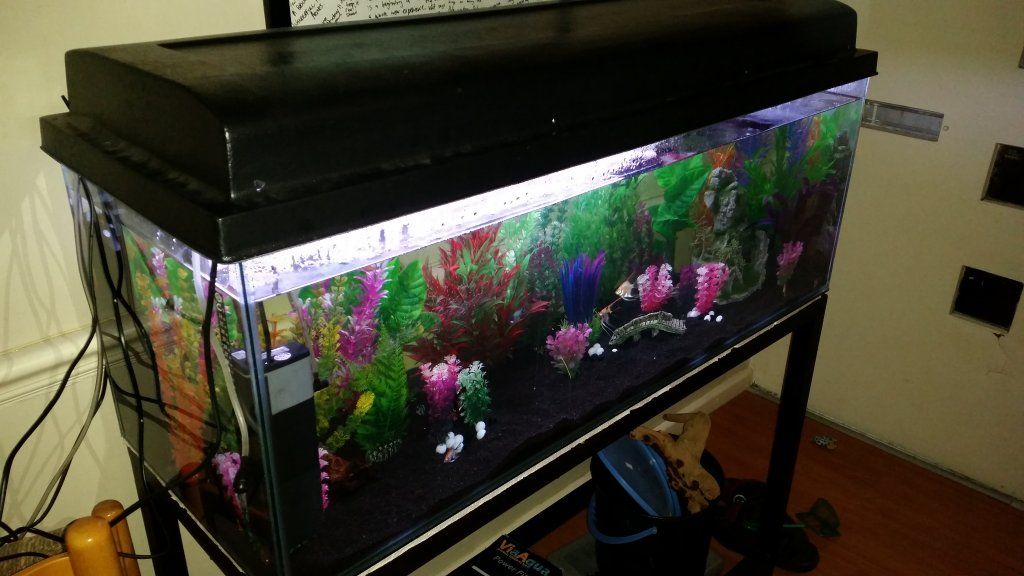 20160523_001557.jpg