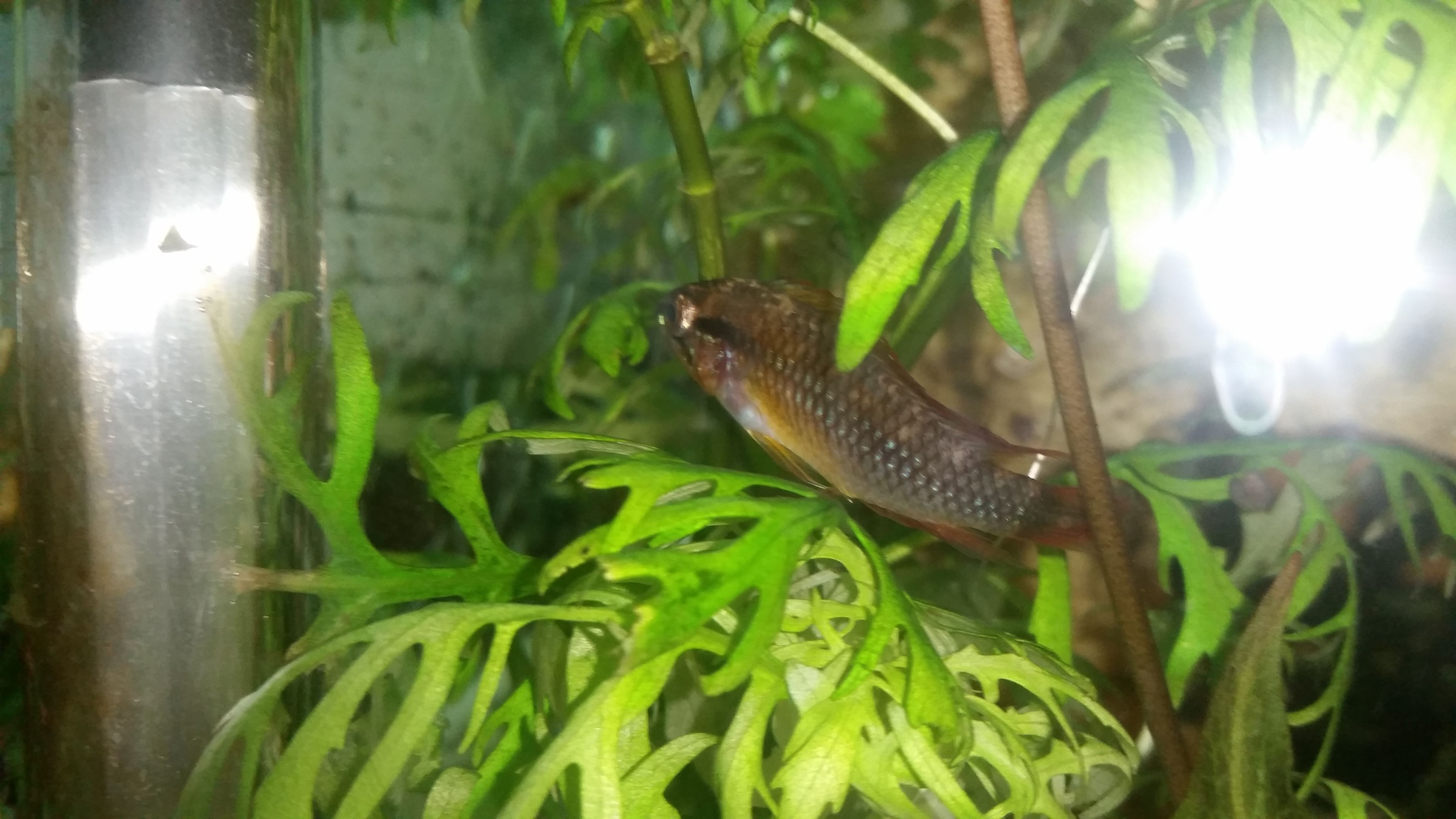 20161008_193054.jpg