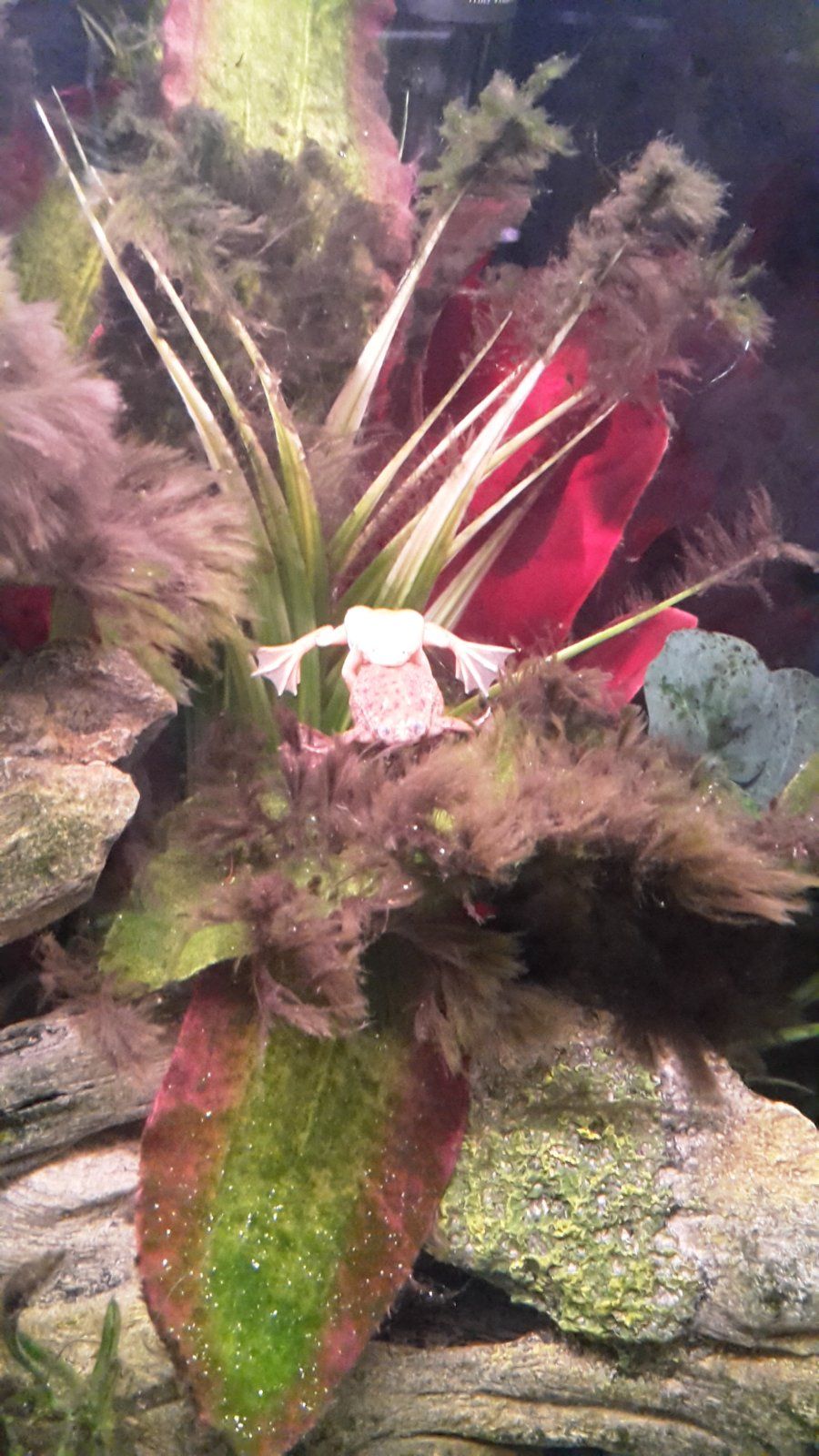 20161020_154658.jpg