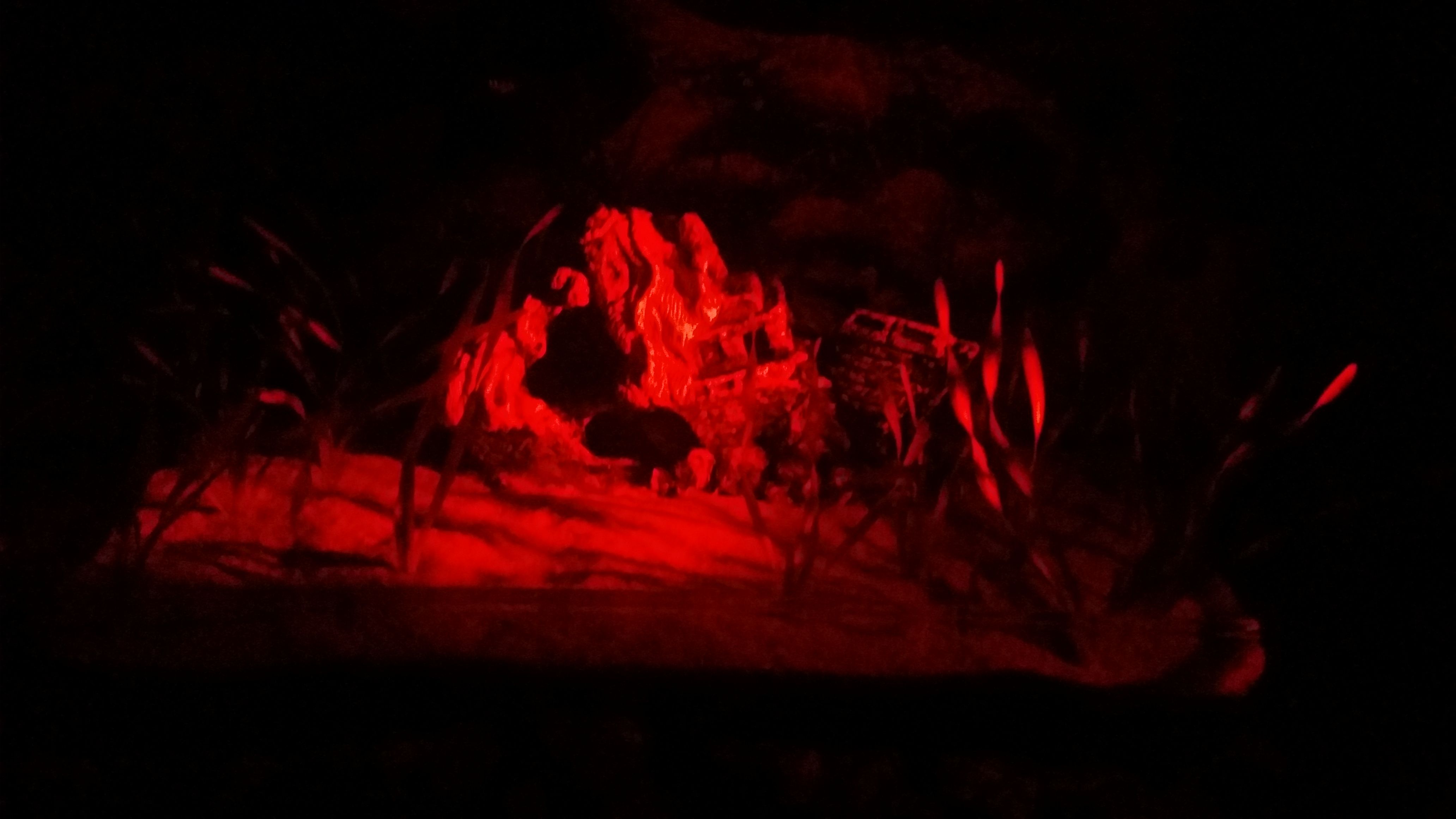 20161113_071837.jpg