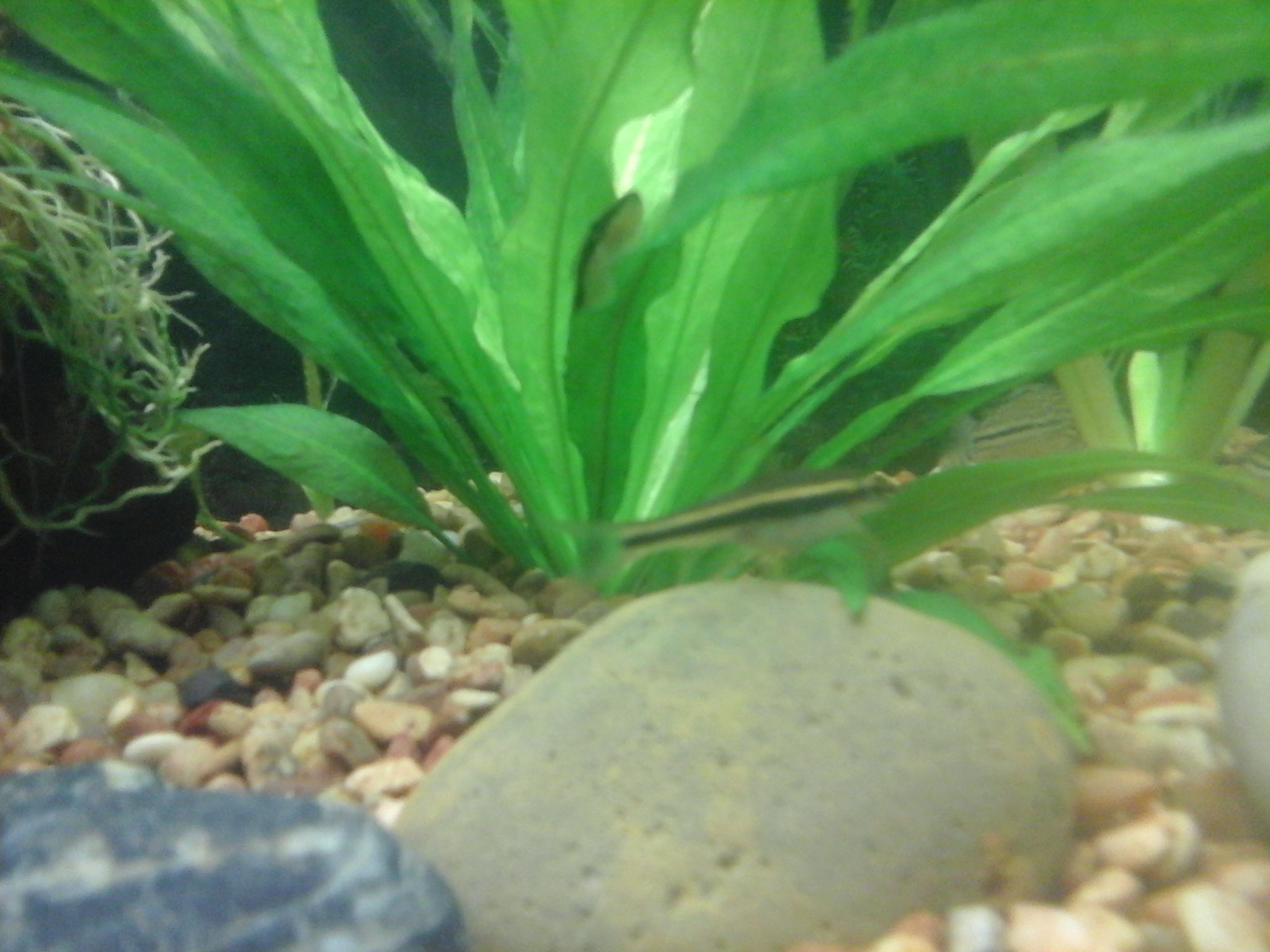 20161206_124043.jpg