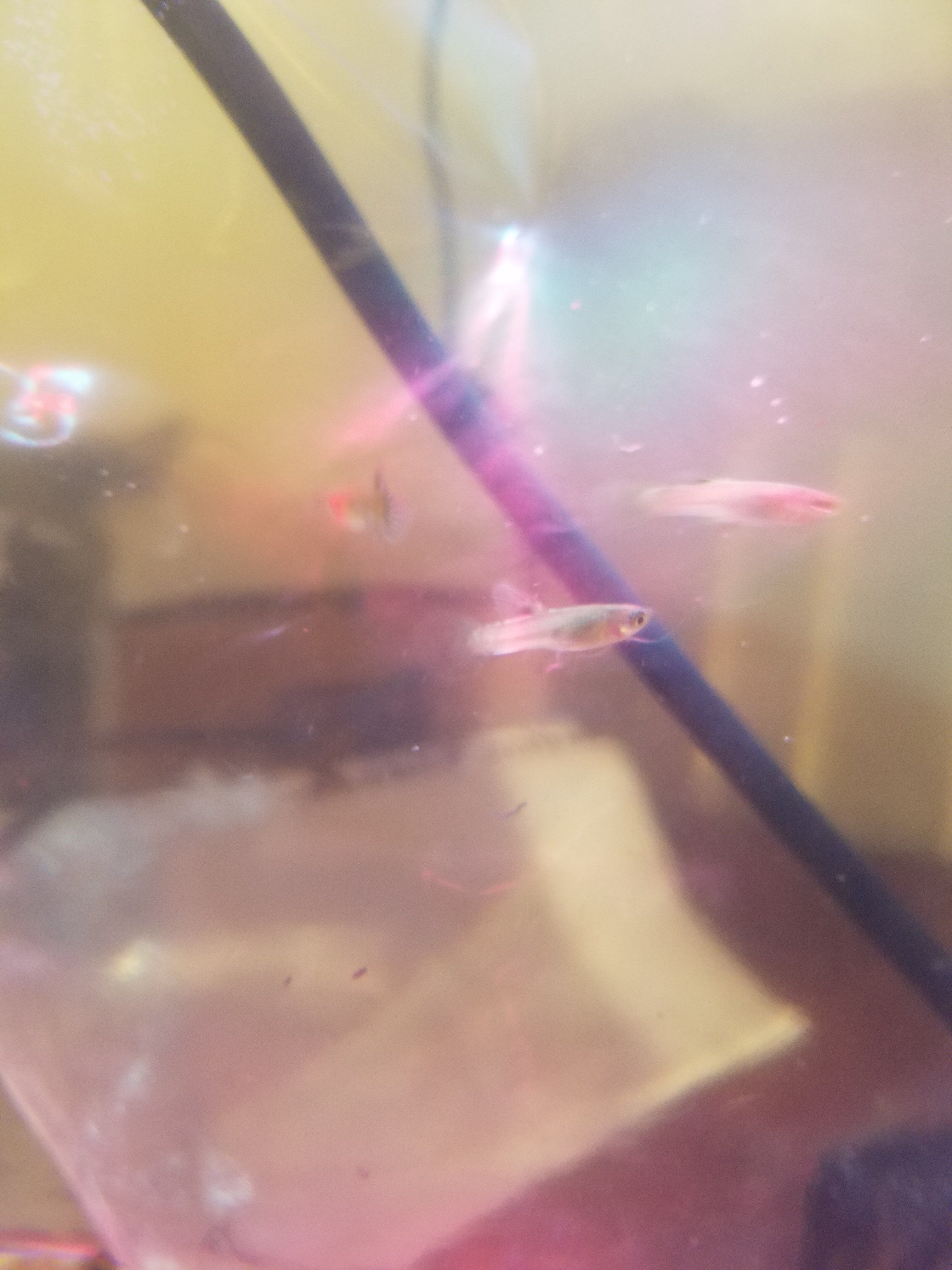 20161216_134056.jpg