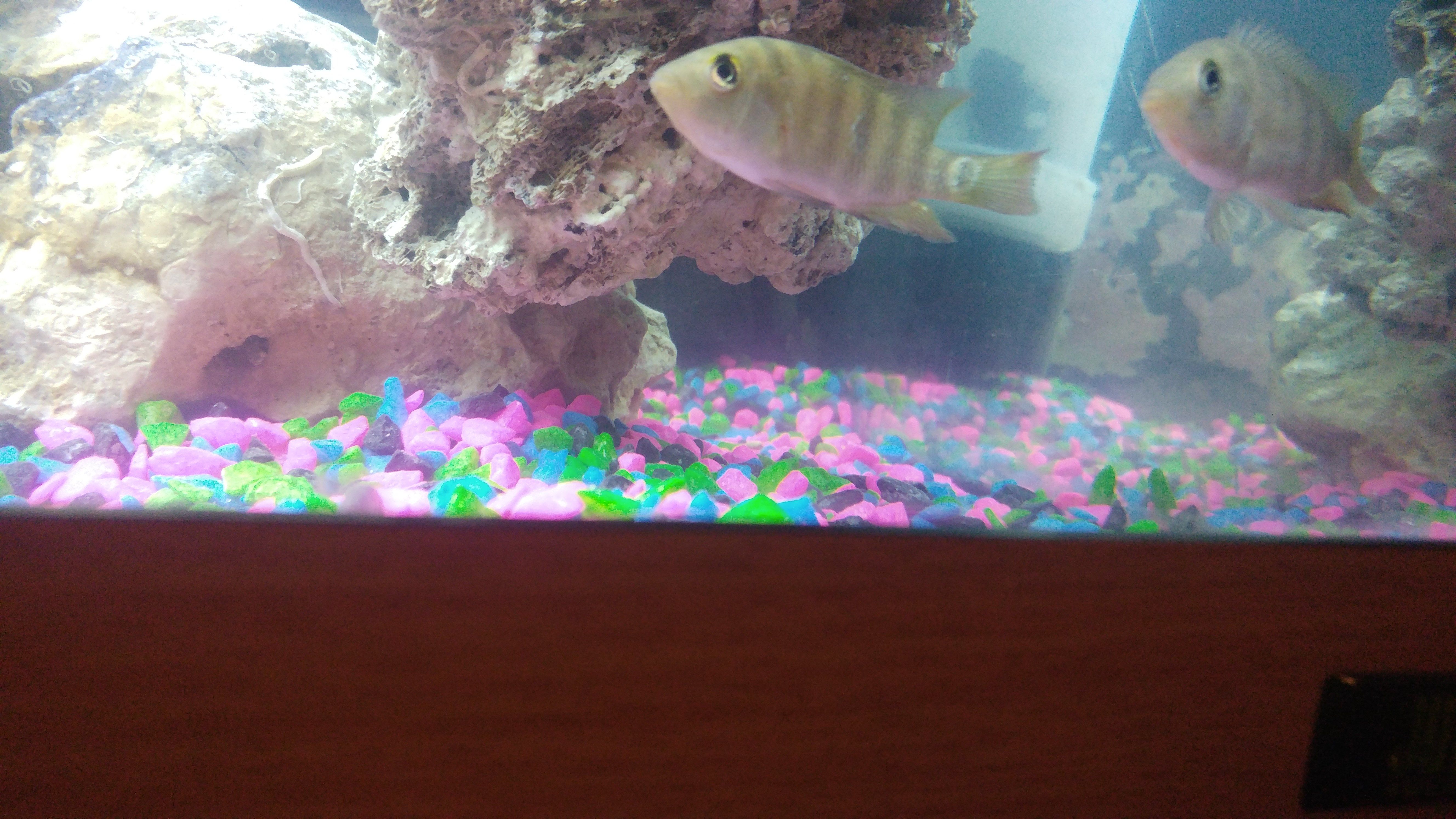 20161225_185027.jpg