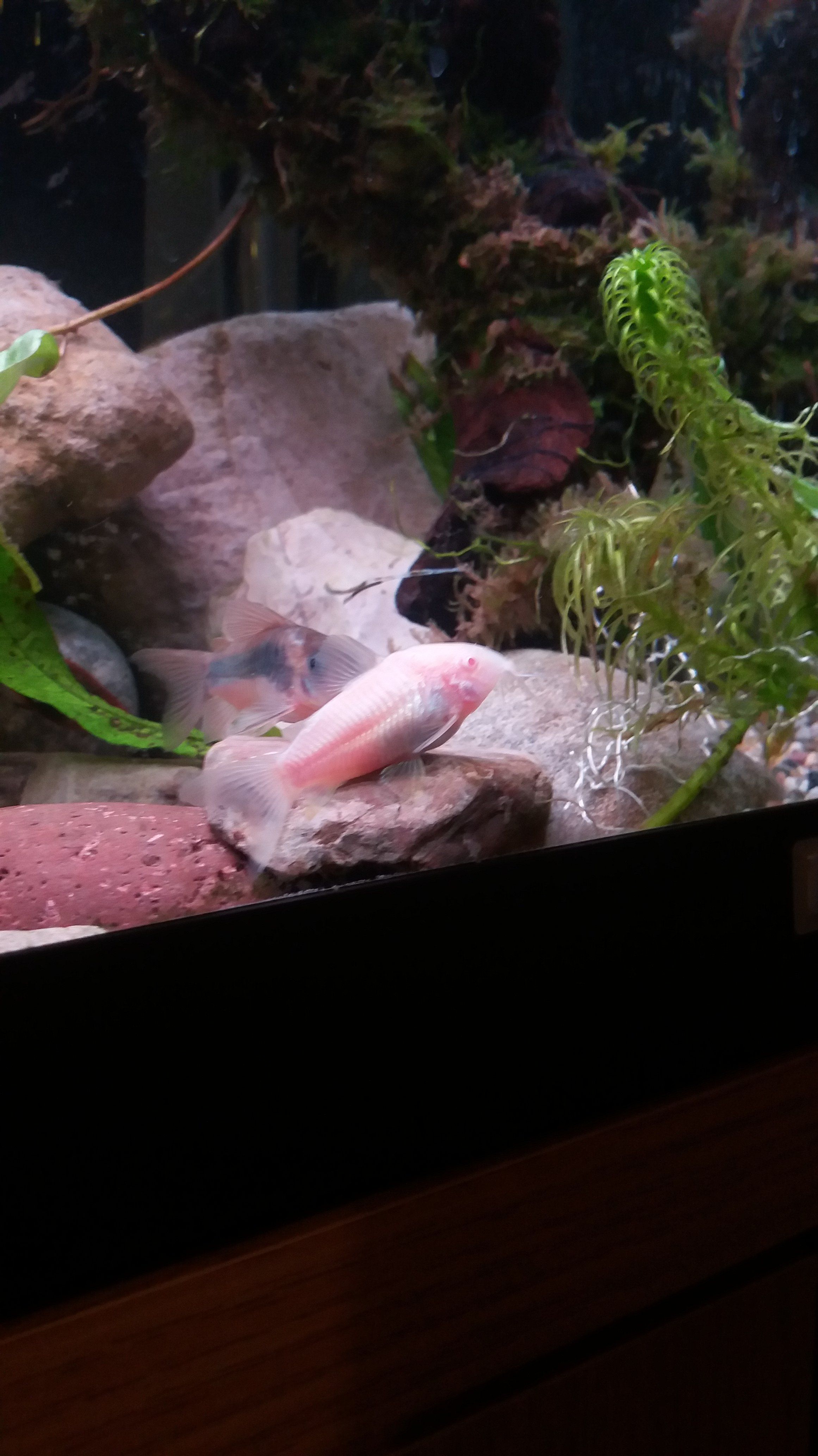 20170116_173059.jpg