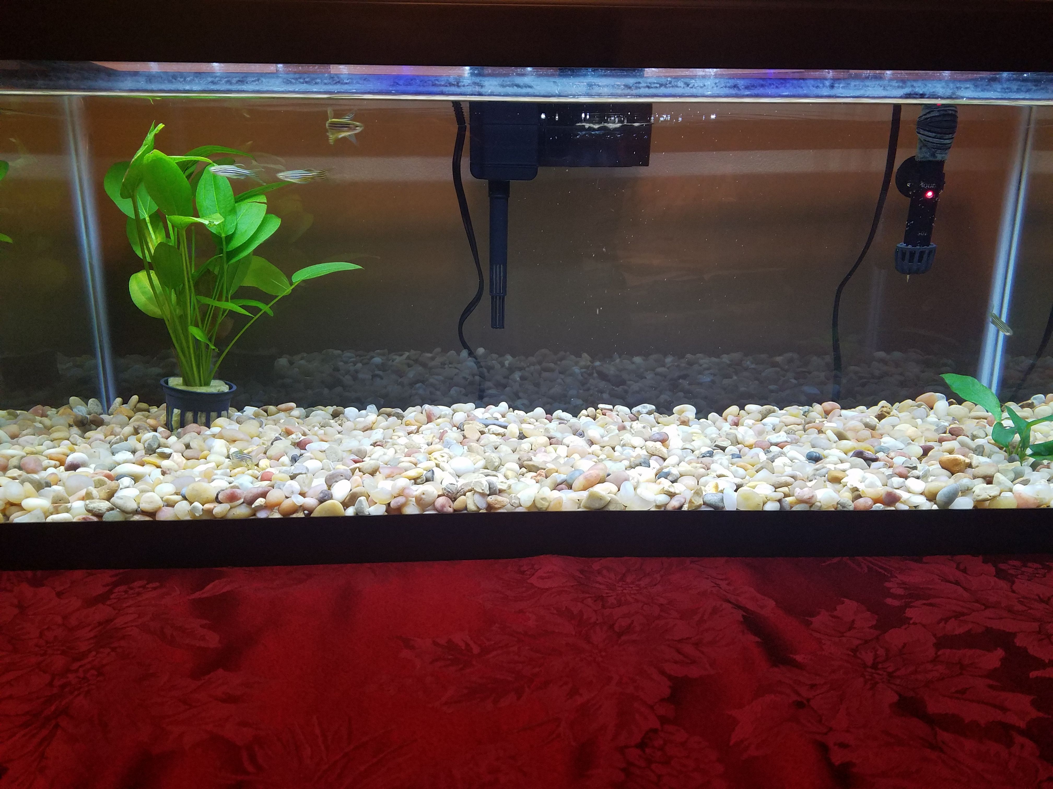 20170117_172404.jpg