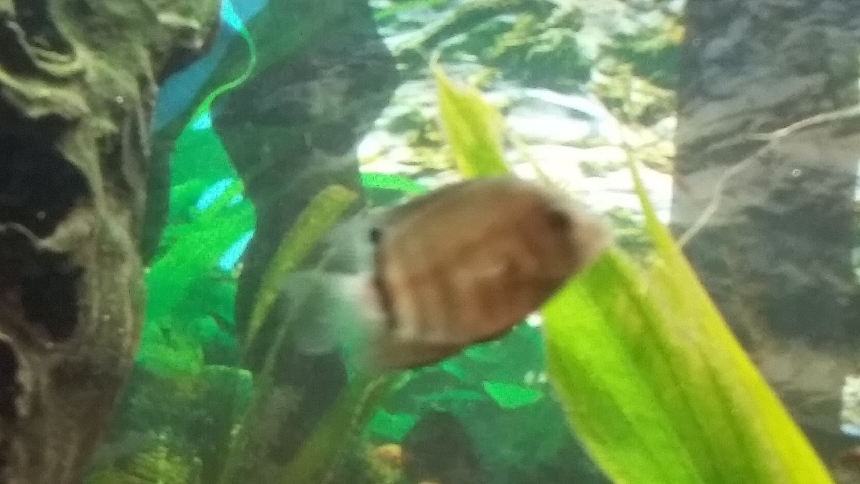20170128_155846.jpg